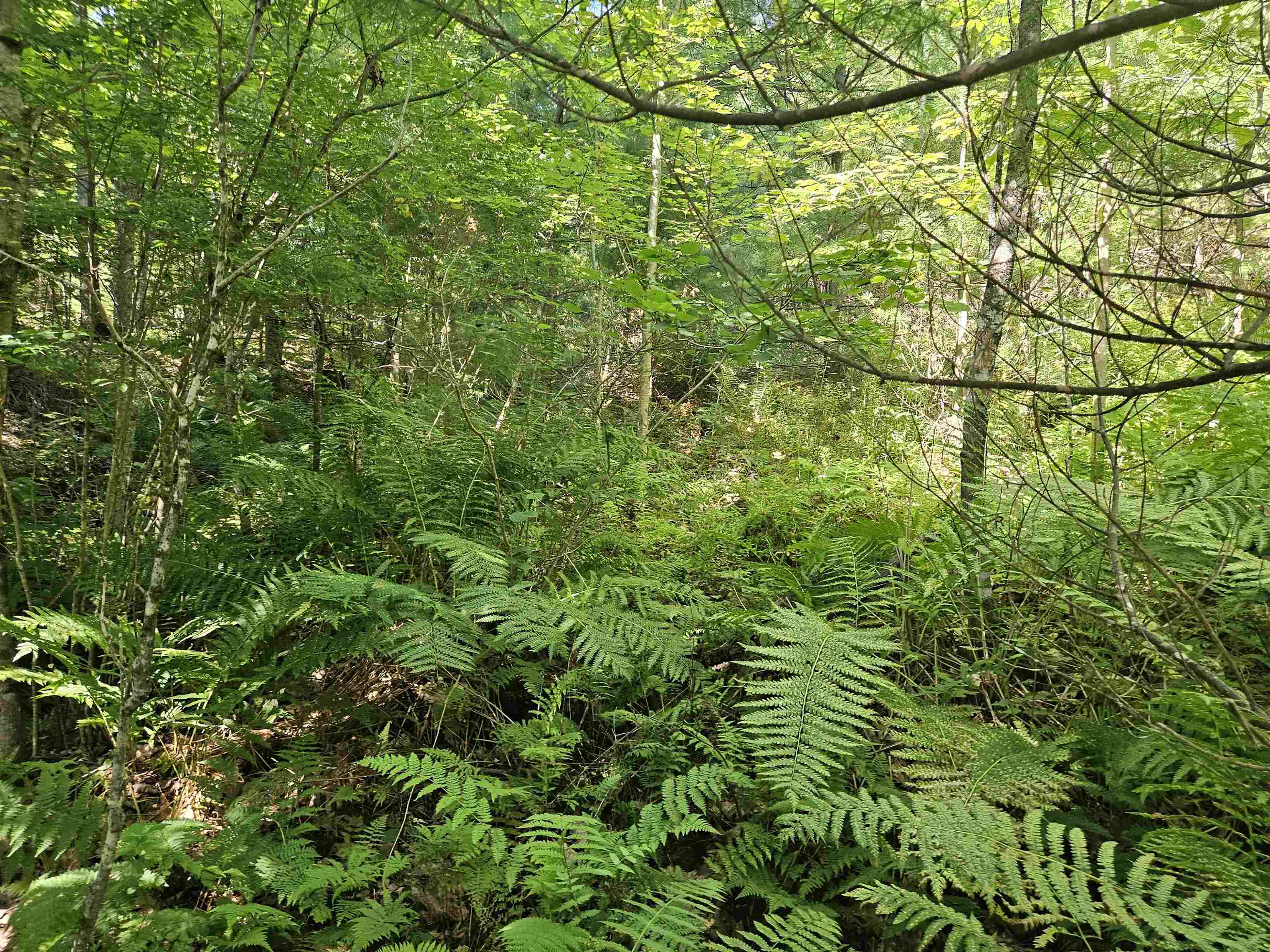 Lot 3.2 Off Parker Road Lisbon, NH 03585 - Photo 6 of 29