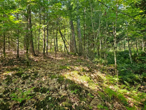 $87,900 | Lot 3.2 Off Parker Road, Lisbon, NH 03585