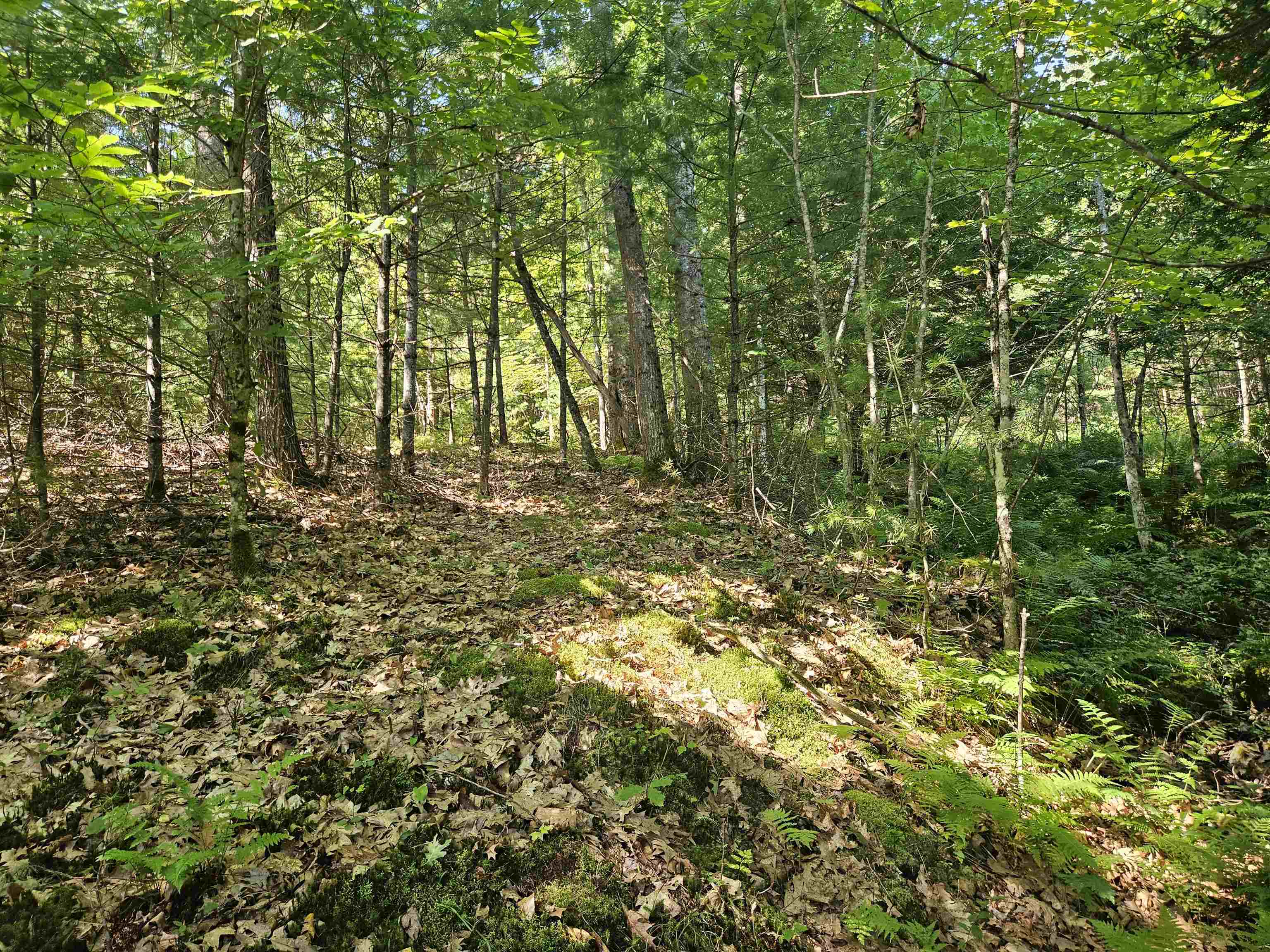 Lot 3.2 Off Parker Road Lisbon, NH 03585 - Photo 8 of 29
