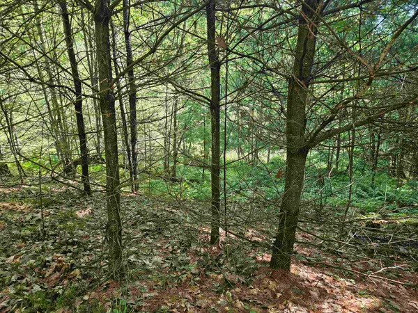 $87,900 | Lot 3.2 Off Parker Road, Lisbon, NH 03585