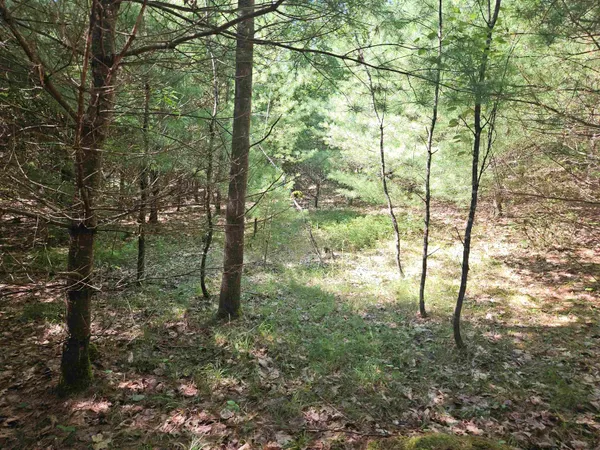 $87,900 | Lot 3.2 Off Parker Road, Lisbon, NH 03585