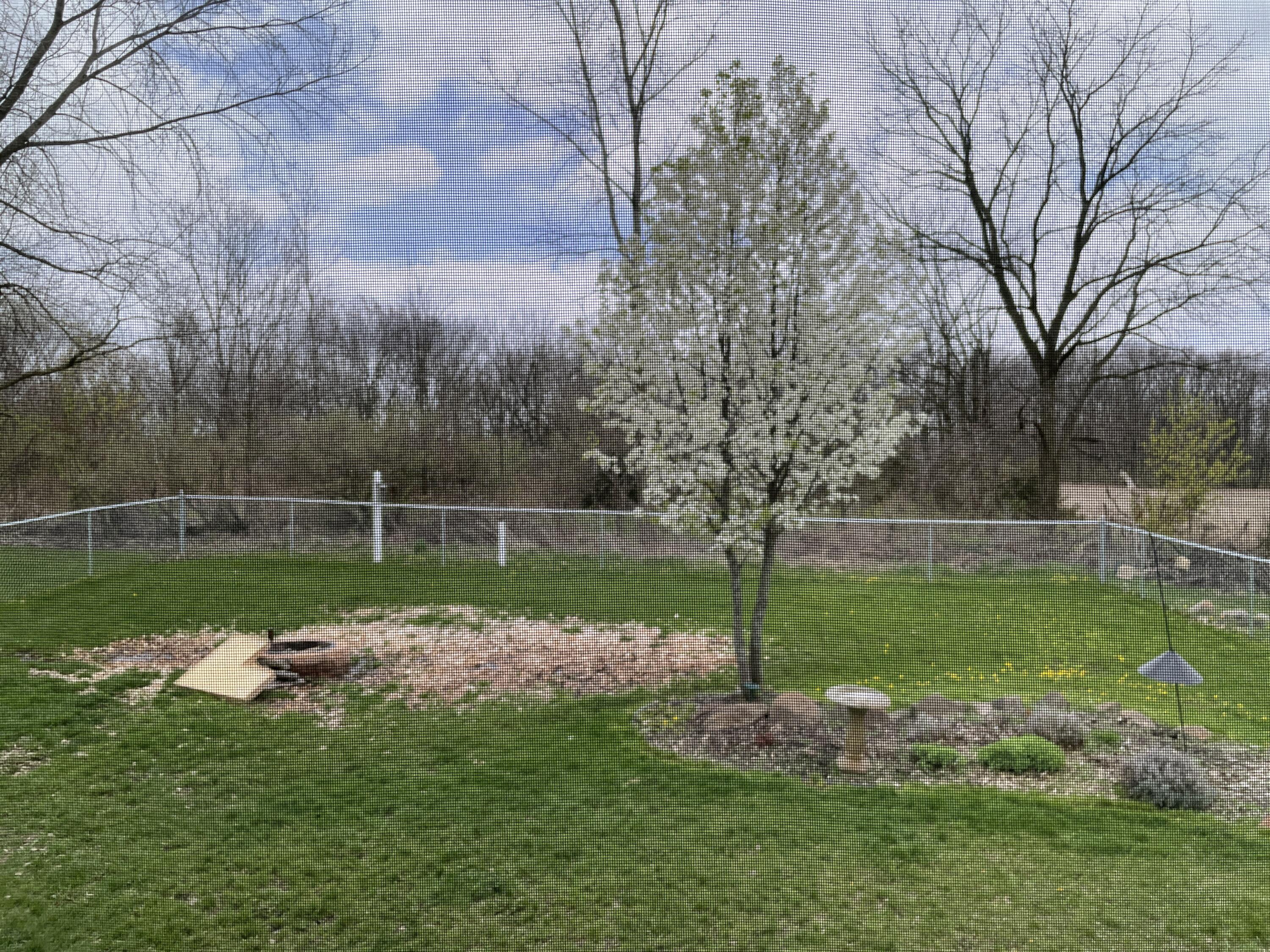 3217 Hunt Road Adrian, MI 49221 - Photo 34 of 38 35