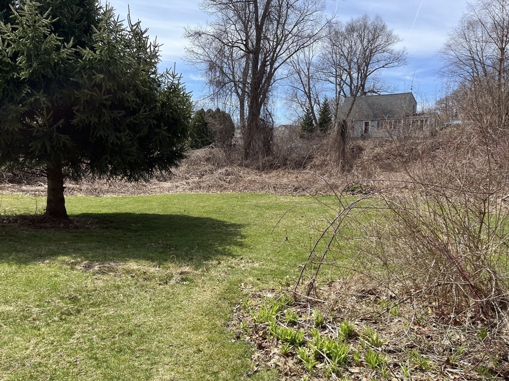 10 Renfrew Street Worcester, MA 01604 - Photo 16 of 25 a view of a garden with large trees