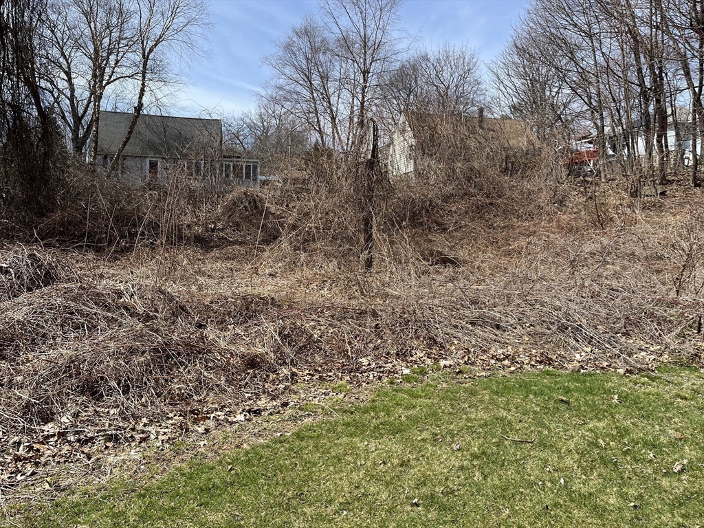 10 Renfrew Street Worcester, MA 01604 - Photo 17 of 25 a view of a yard