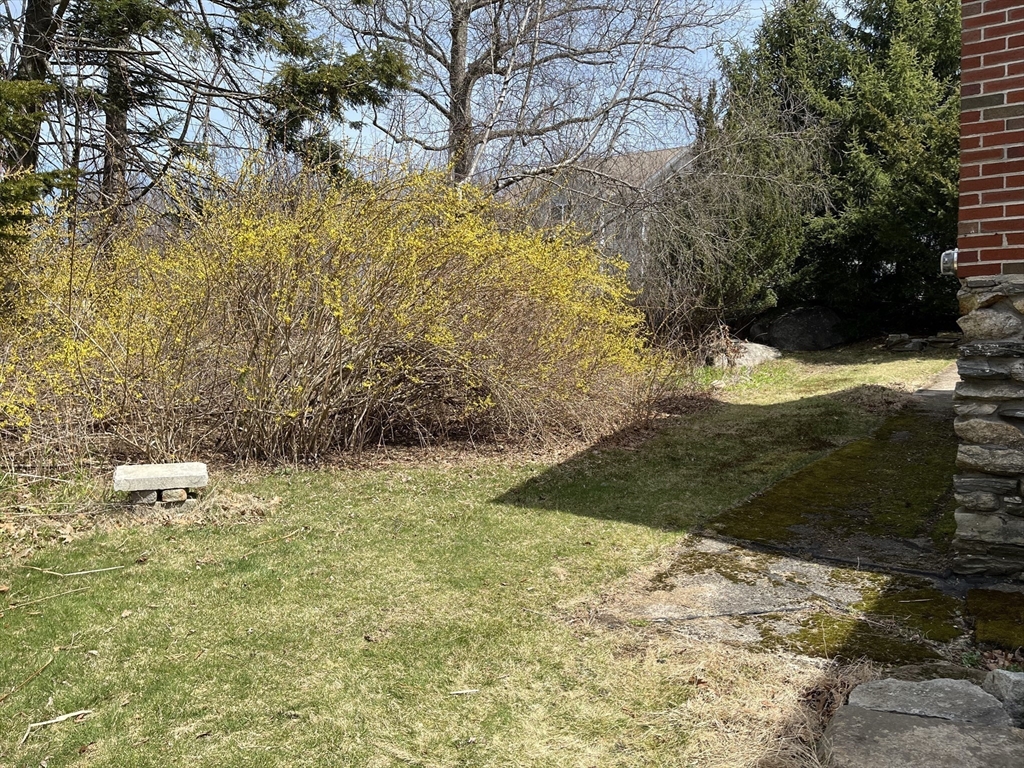 10 Renfrew Street Worcester, MA 01604 - Photo 19 of 25 a view of a yard with trees