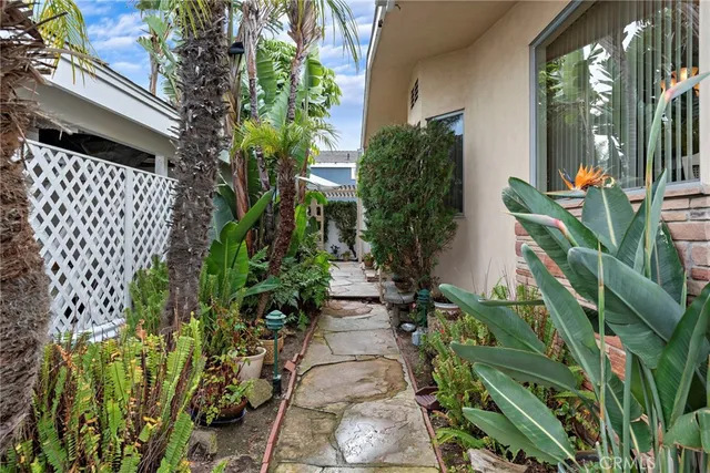 a view of a yard with plants