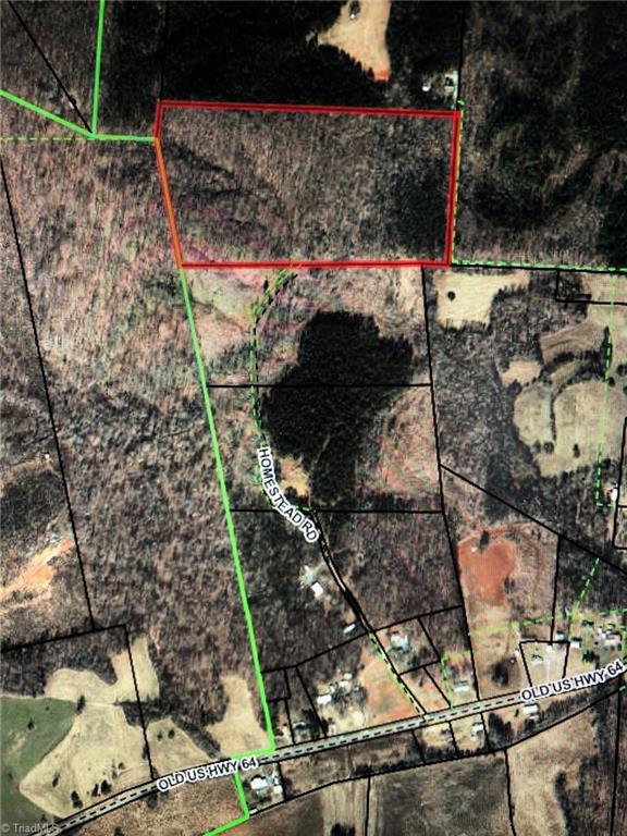0 Homestead Road Trinity, NC 27370 - Photo 1 of 9 25 acres wooded! Select cut in the early 70's. No road frontage. Easement across 2 parcels that has been clear cut. Secluded!