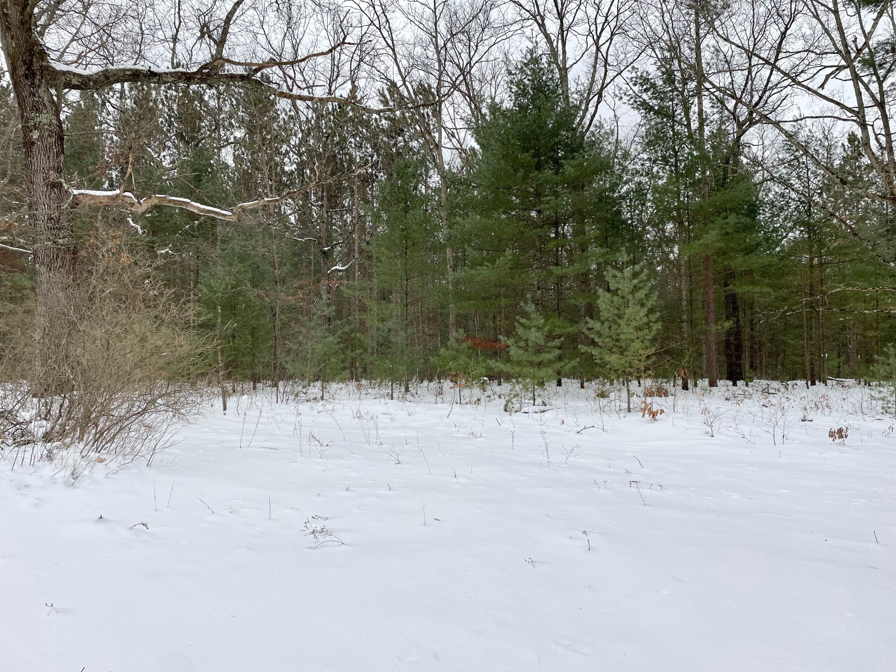 172 South Taylor Road Branch, MI 49402 - Photo 23 of 24 IMG_5650
