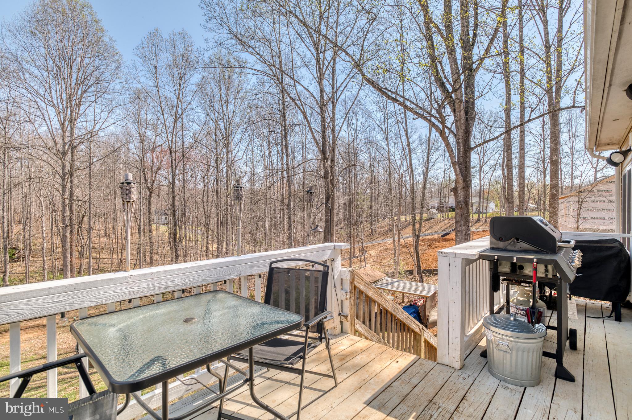 11099 Eggbornsville Road Rixeyville, VA 22737 - Photo 41 of 60