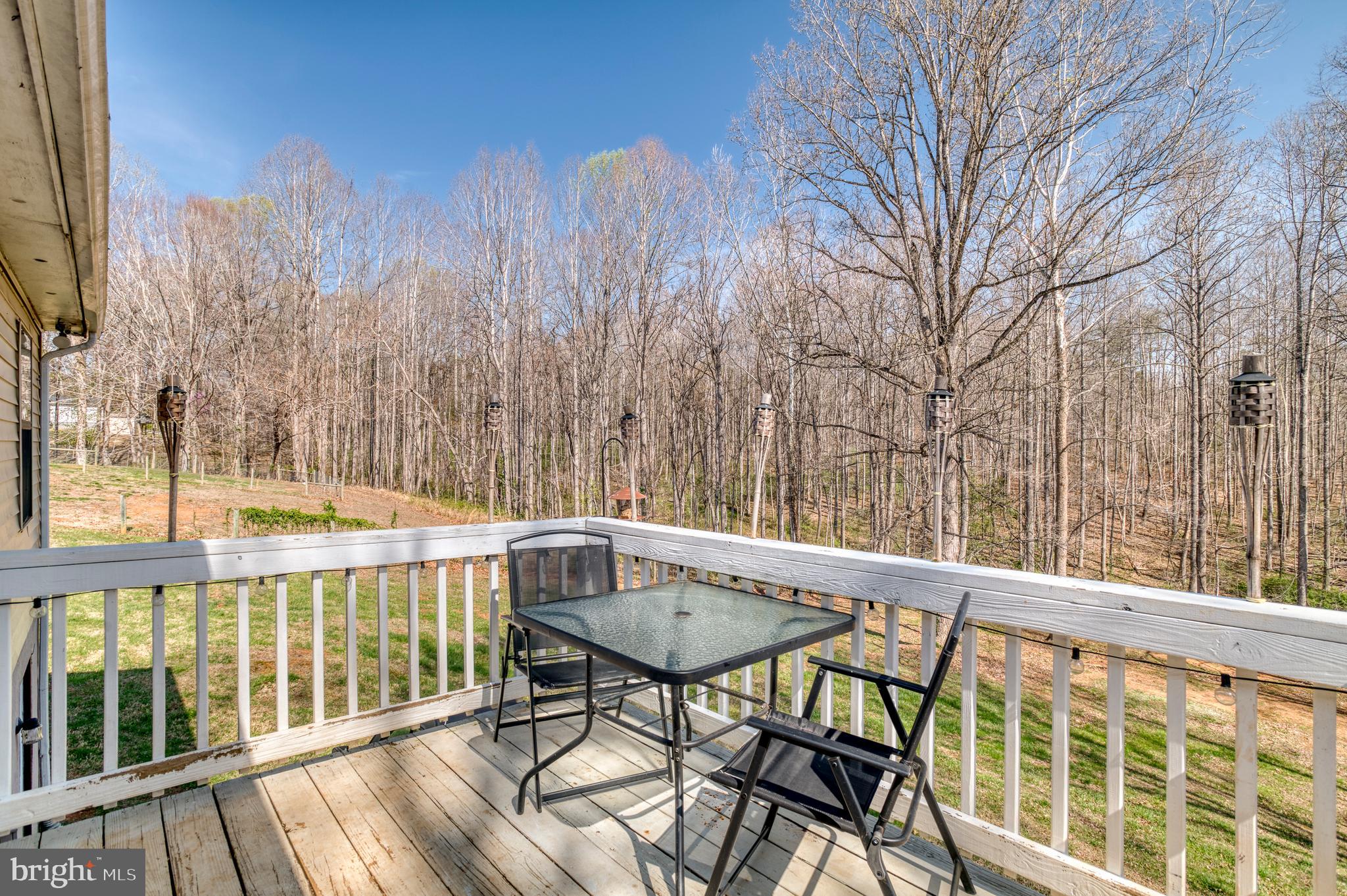 11099 Eggbornsville Road Rixeyville, VA 22737 - Photo 42 of 60