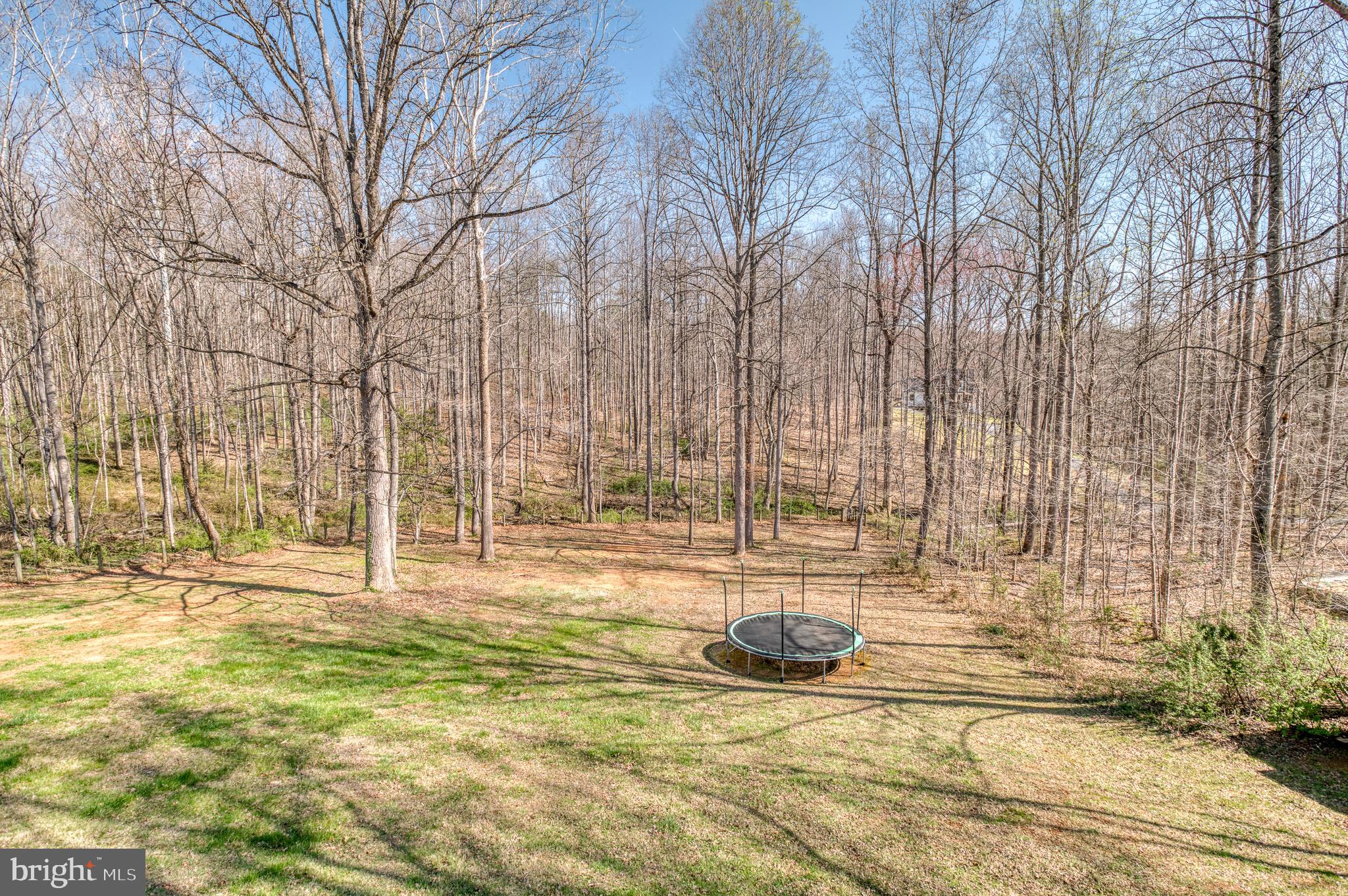 11099 Eggbornsville Road Rixeyville, VA 22737 - Photo 54 of 60