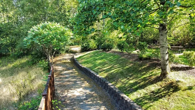 a view of a back yard