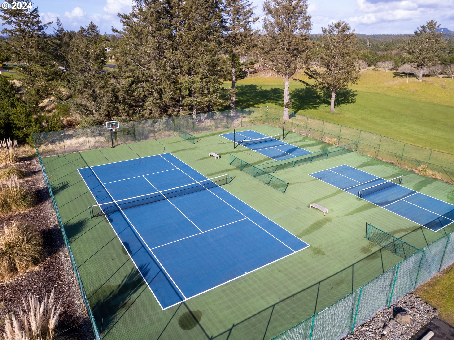 5290 High Ridge Road Gearhart, OR 97138 - Photo 25 of 26 a view of a tennis ground with large trees