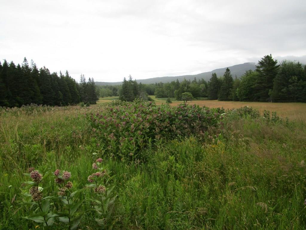62 Billings Road Seal Cove, ME 04674 - Photo 4 of 28 Photo