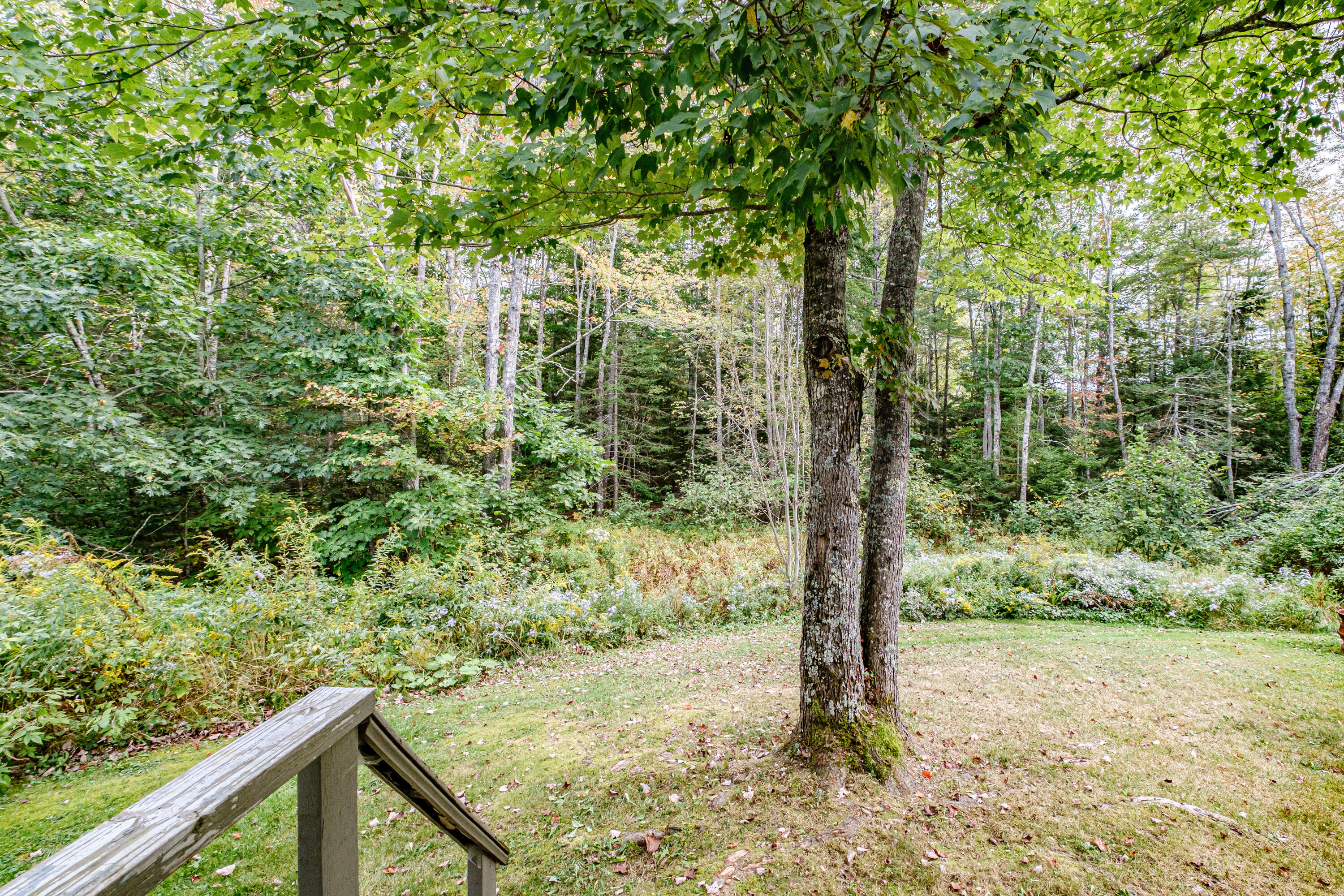 833 Old Stage Road Woolwich, ME 04579 - Photo 36 of 45 20240920gp-63037