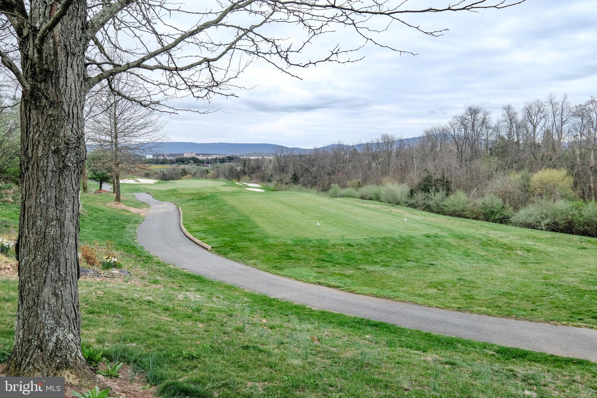 17 Driver Square Front Royal, VA 22630 - Photo 46 of 54 Golf course view