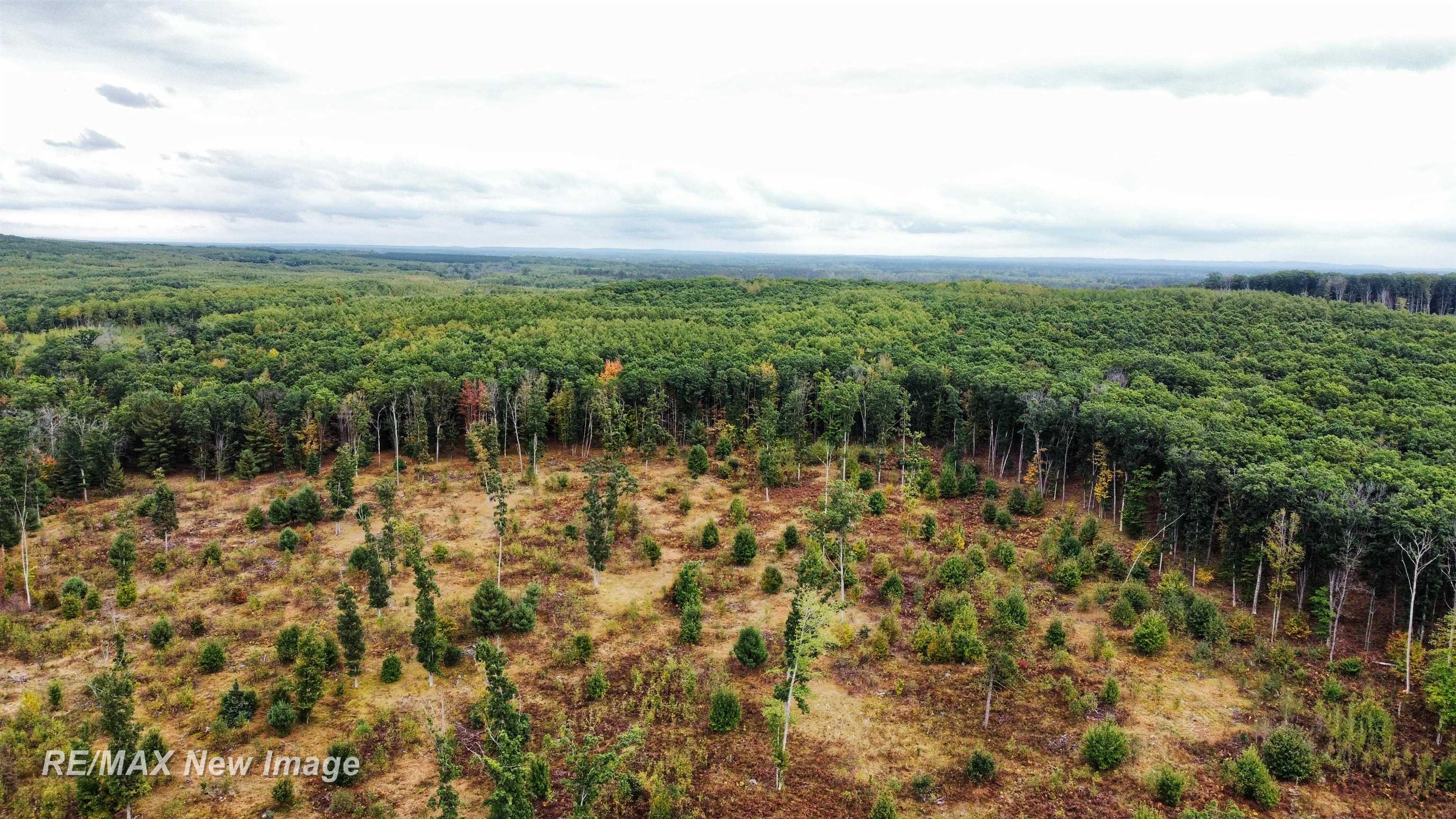 Maybee Road West Branch, MI 48661 - Photo 20 of 32 Gallery Image 20
