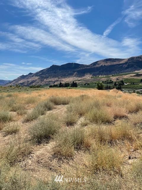 19 Temp Road Wenatchee, WA 98801 - Photo 6 of 7 Gallery Image 6