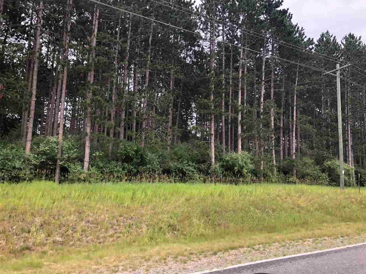 Parcel C South Rolland Road Weidman, MI 48893 - Photo 4 of 5