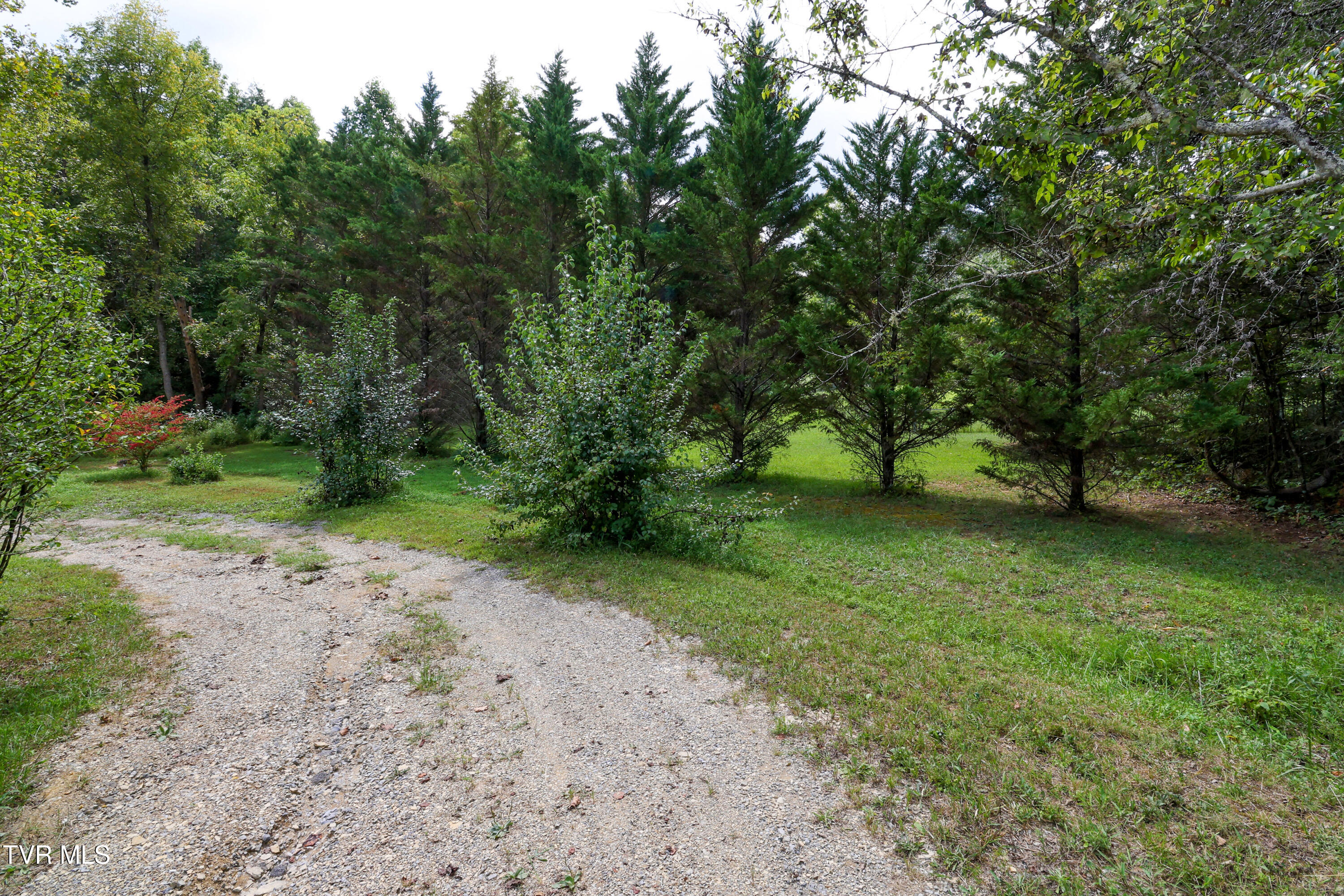 174 Coates Road Bulls Gap, TN 37711 - Photo 21 of 37 AM0A6008_1