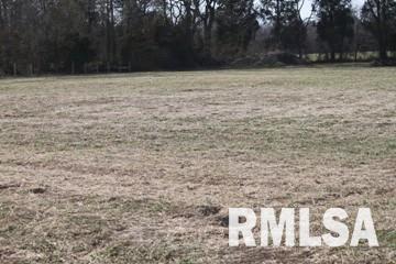 0 Husband Road Marion, IL 62959 - Photo 3 of 5