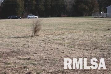 0 Husband Road Marion, IL 62959 - Photo 4 of 5