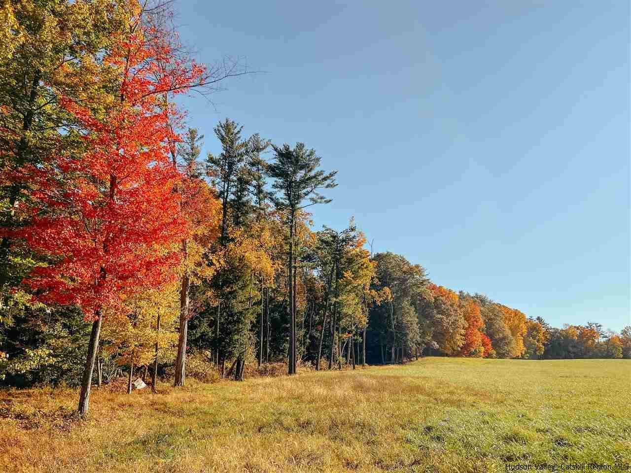 Tbd Atwood Road Stone Ridge, NY 12484 - Photo 12 of 30 Photo 12