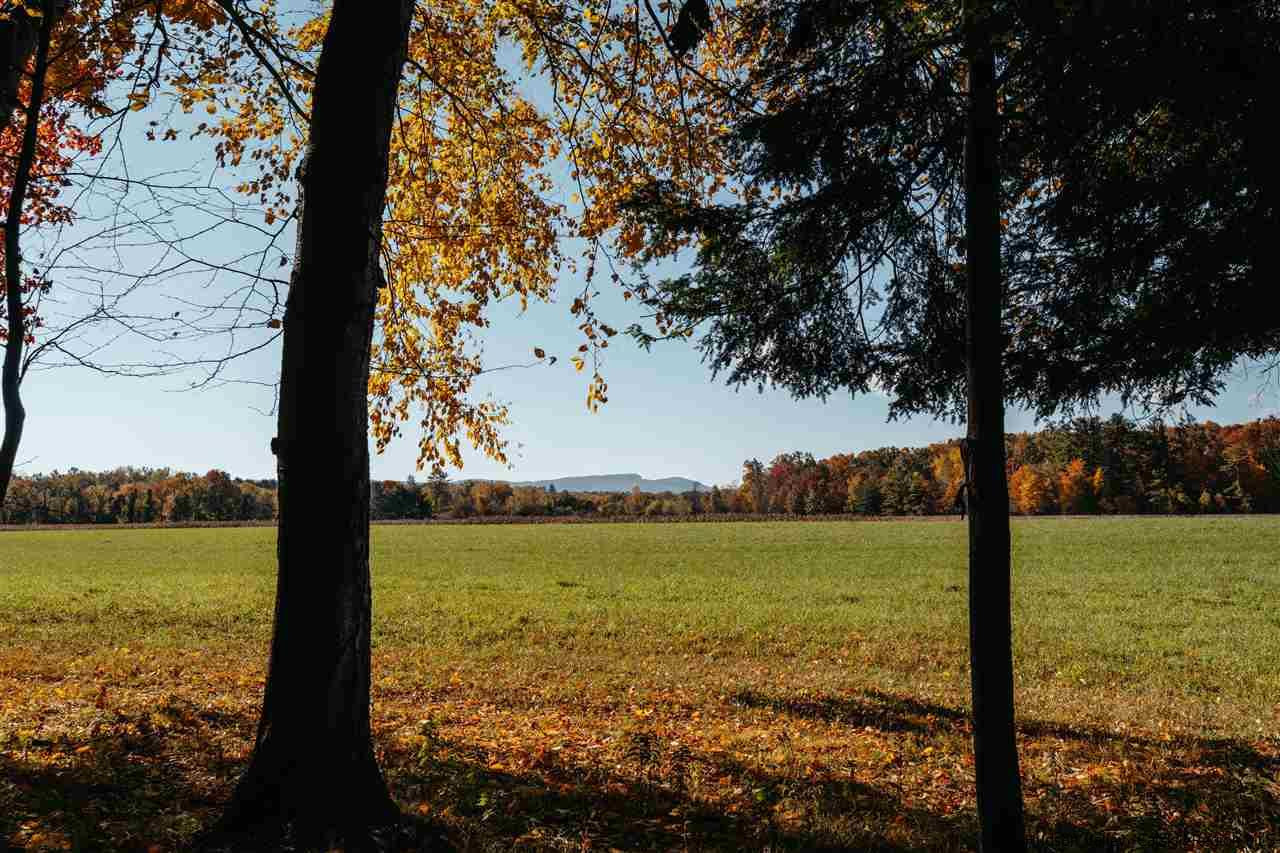 Tbd Atwood Road Stone Ridge, NY 12484 - Photo 13 of 30 Photo 13