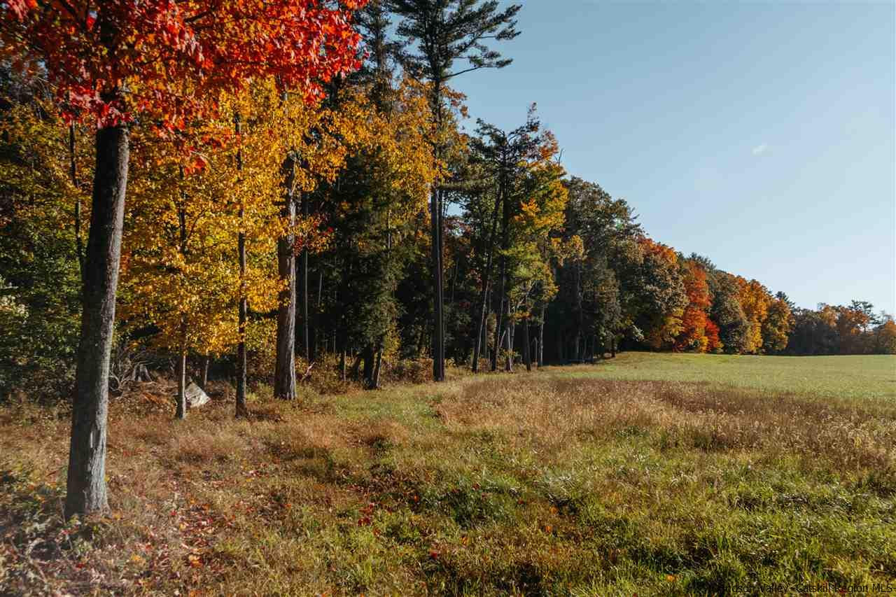 Tbd Atwood Road Stone Ridge, NY 12484 - Photo 15 of 30 Photo 15