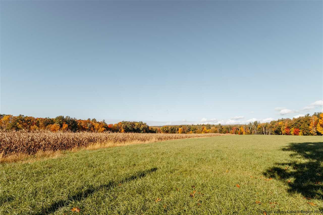 Tbd Atwood Road Stone Ridge, NY 12484 - Photo 17 of 30 Photo 17