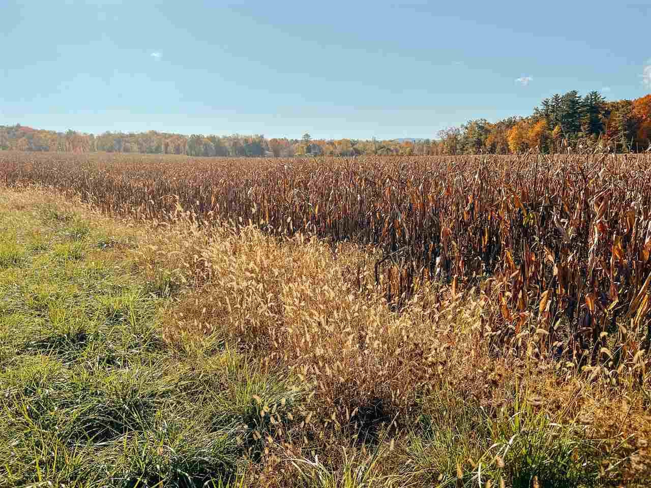 Tbd Atwood Road Stone Ridge, NY 12484 - Photo 18 of 30 Photo 18