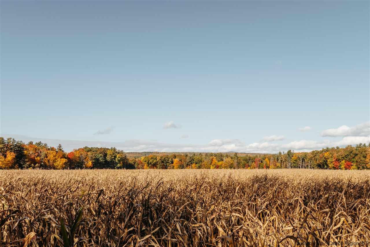 Tbd Atwood Road Stone Ridge, NY 12484 - Photo 19 of 30 Photo 19