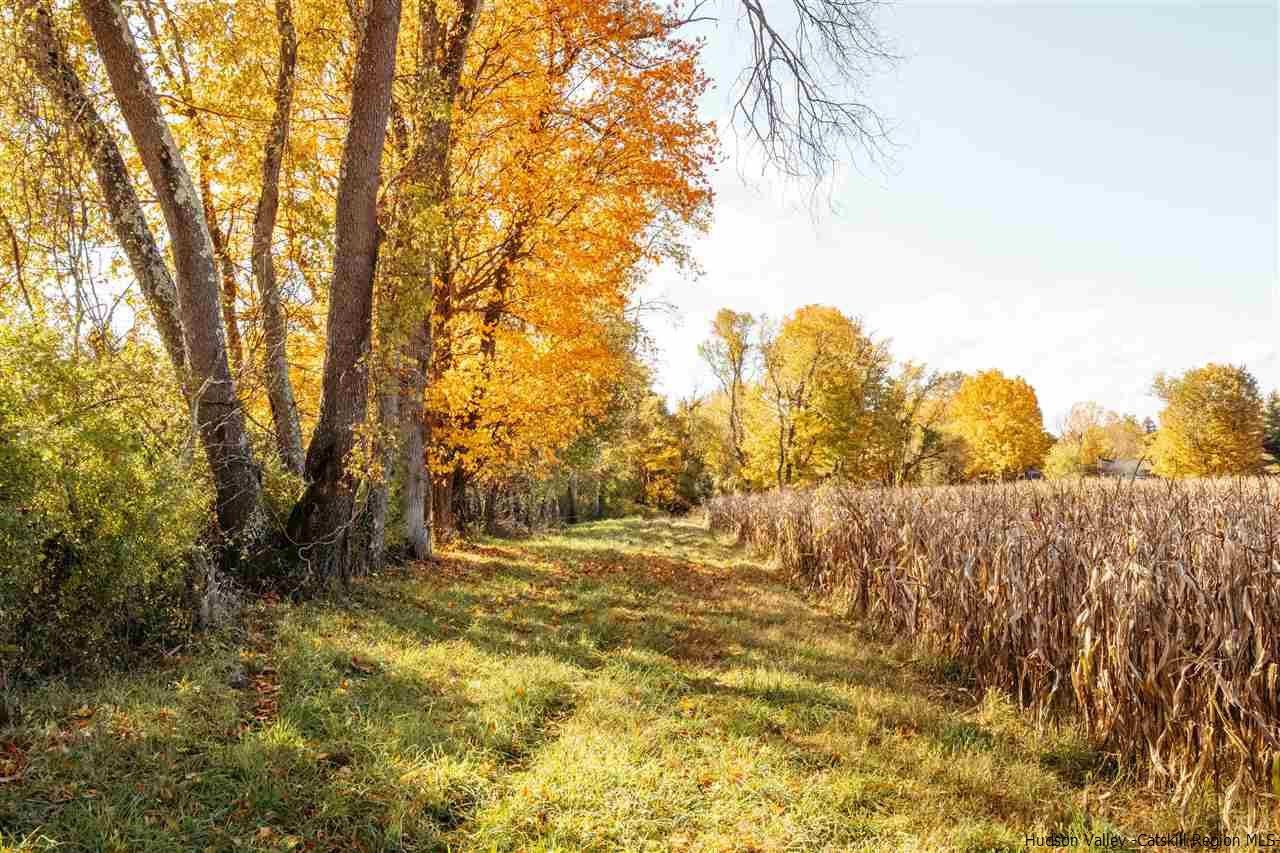 Tbd Atwood Road Stone Ridge, NY 12484 - Photo 20 of 30 Photo 20