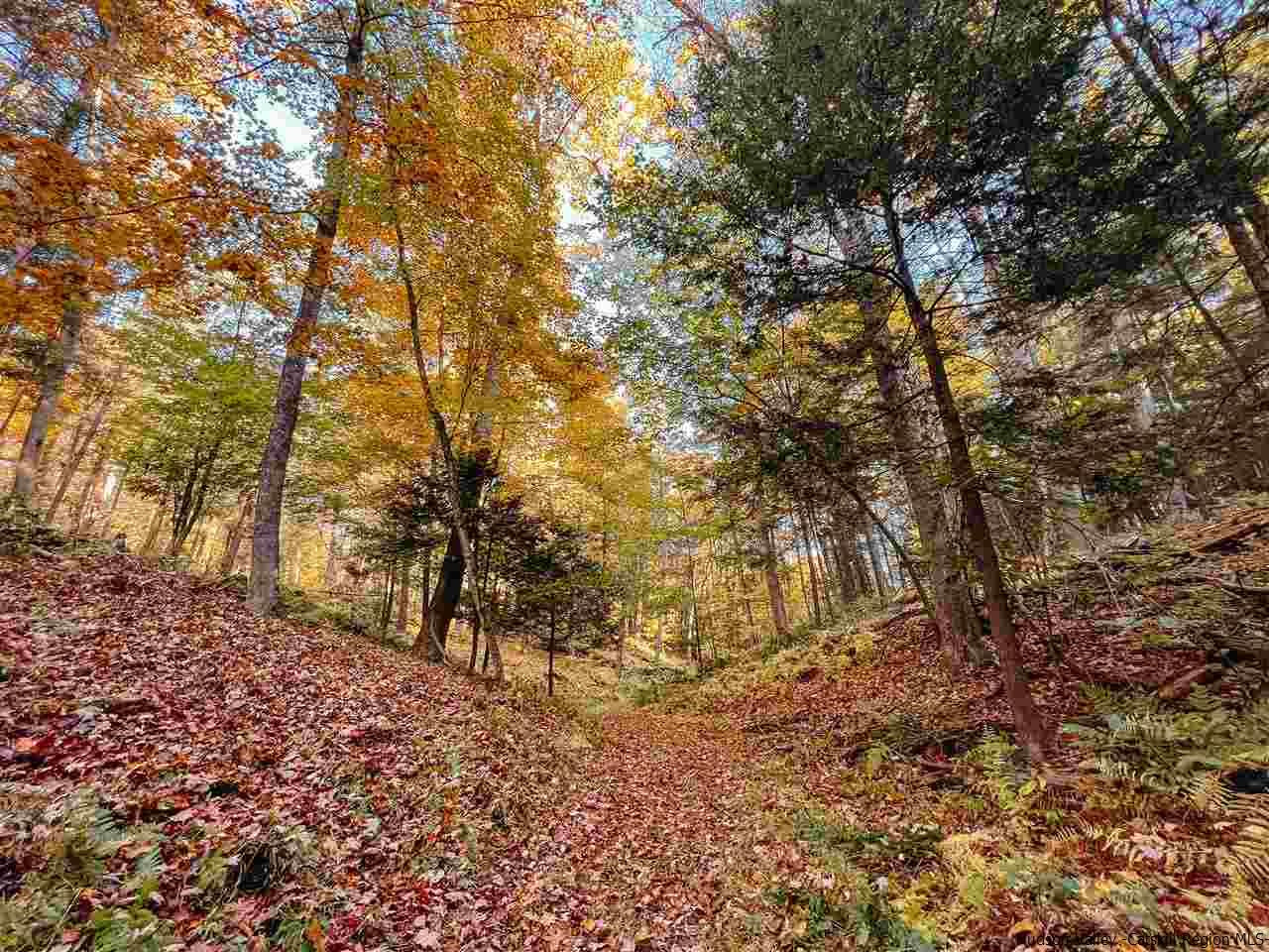 Tbd Atwood Road Stone Ridge, NY 12484 - Photo 21 of 30 Photo 21
