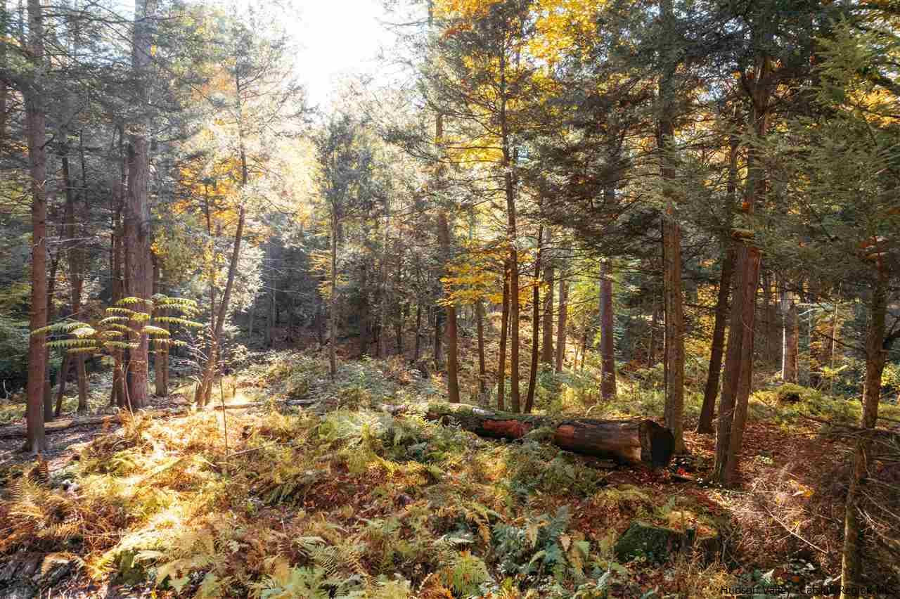 Tbd Atwood Road Stone Ridge, NY 12484 - Photo 22 of 30 Photo 22