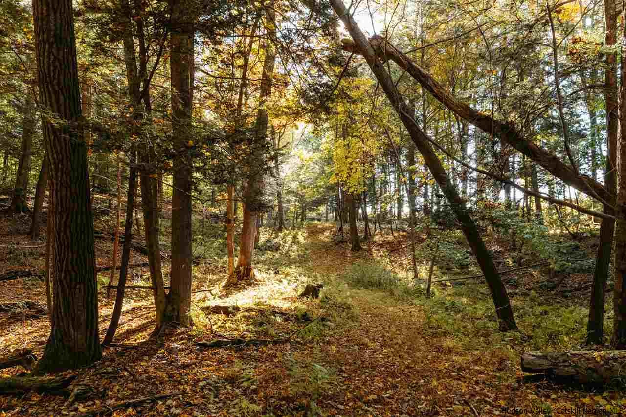 Tbd Atwood Road Stone Ridge, NY 12484 - Photo 23 of 30 Photo 23