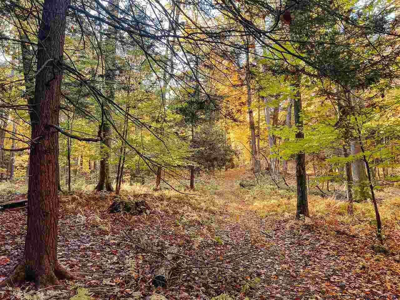 Tbd Atwood Road Stone Ridge, NY 12484 - Photo 24 of 30 Photo 24