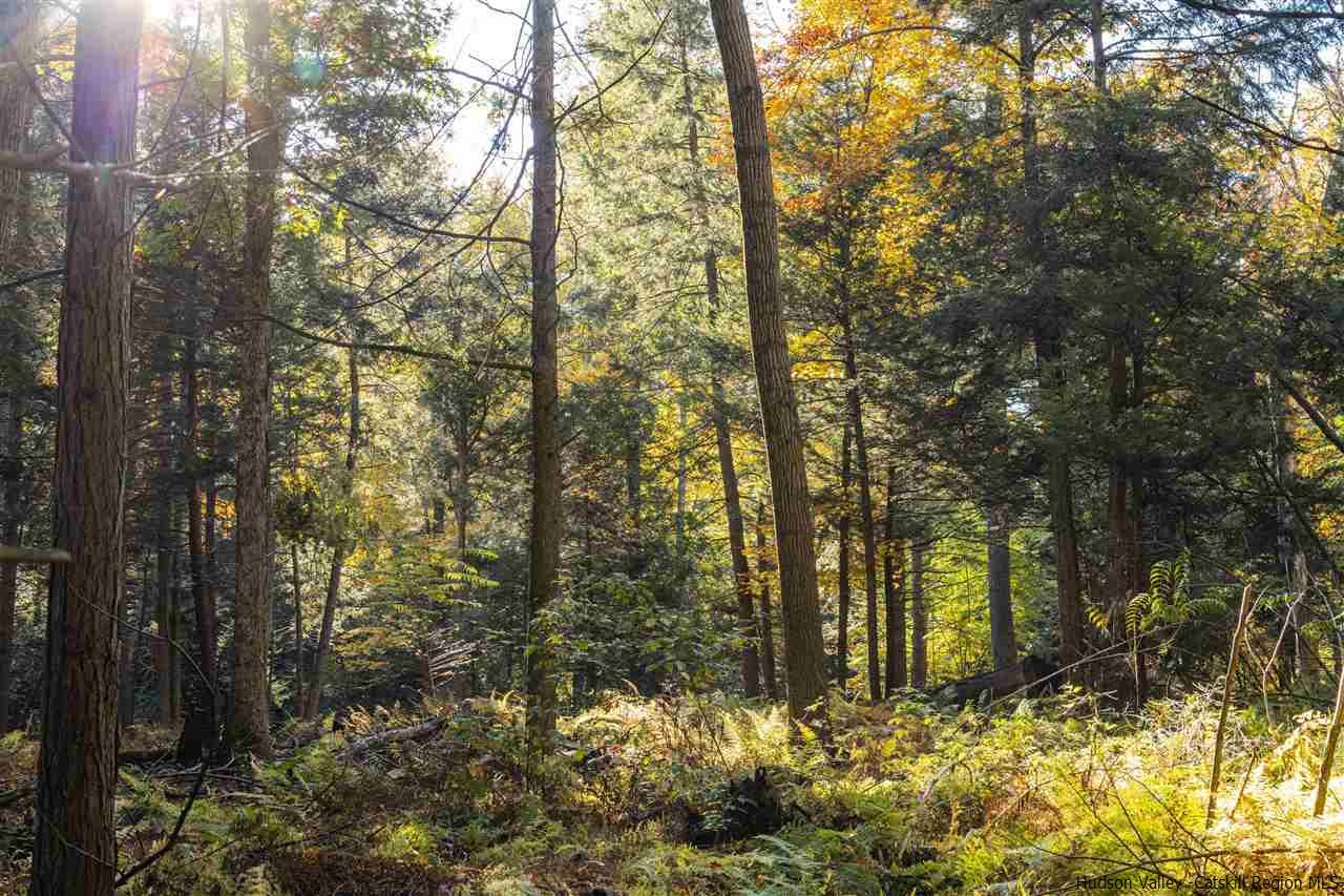 Tbd Atwood Road Stone Ridge, NY 12484 - Photo 25 of 30 Photo 25