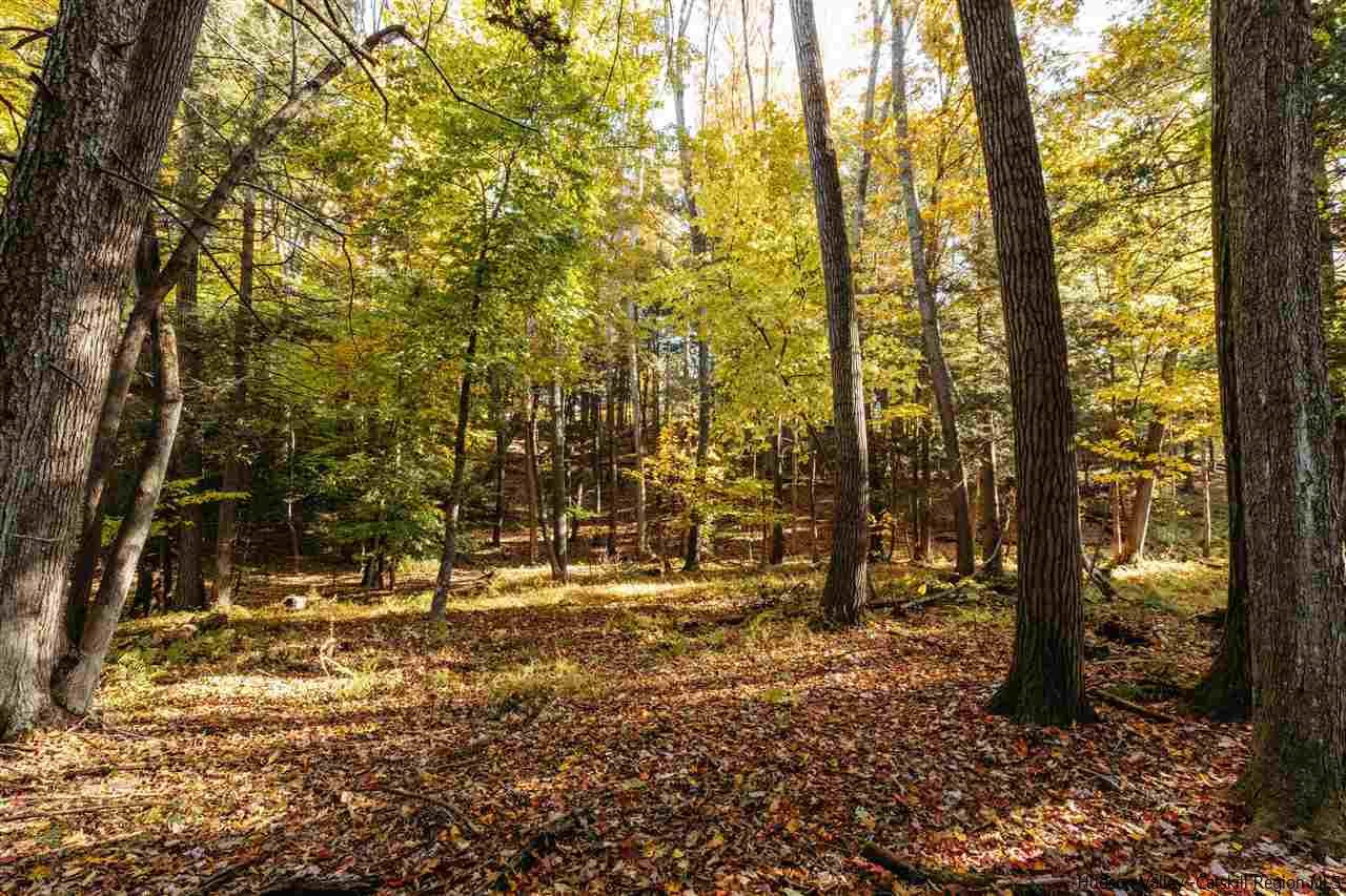 Tbd Atwood Road Stone Ridge, NY 12484 - Photo 26 of 30 Photo 26