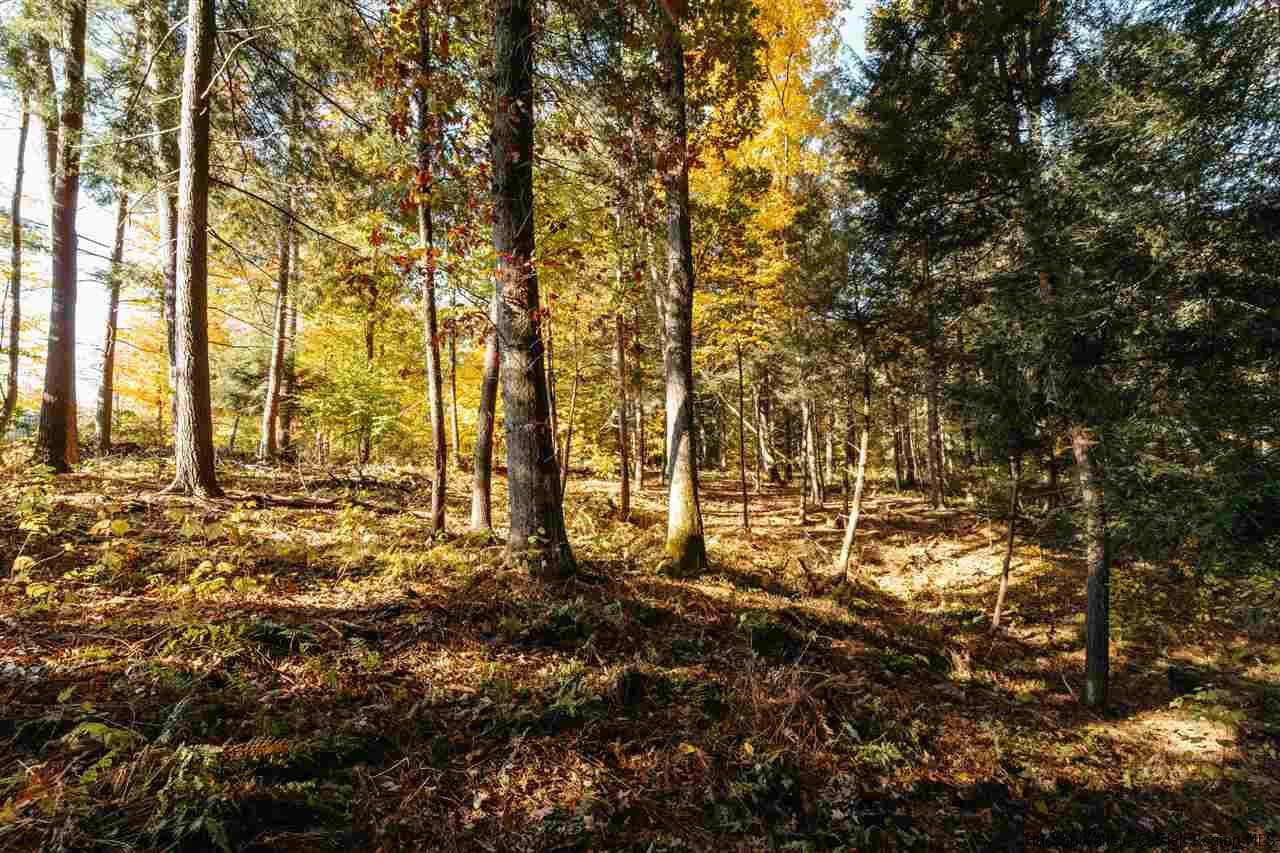 Tbd Atwood Road Stone Ridge, NY 12484 - Photo 27 of 30 Photo 27