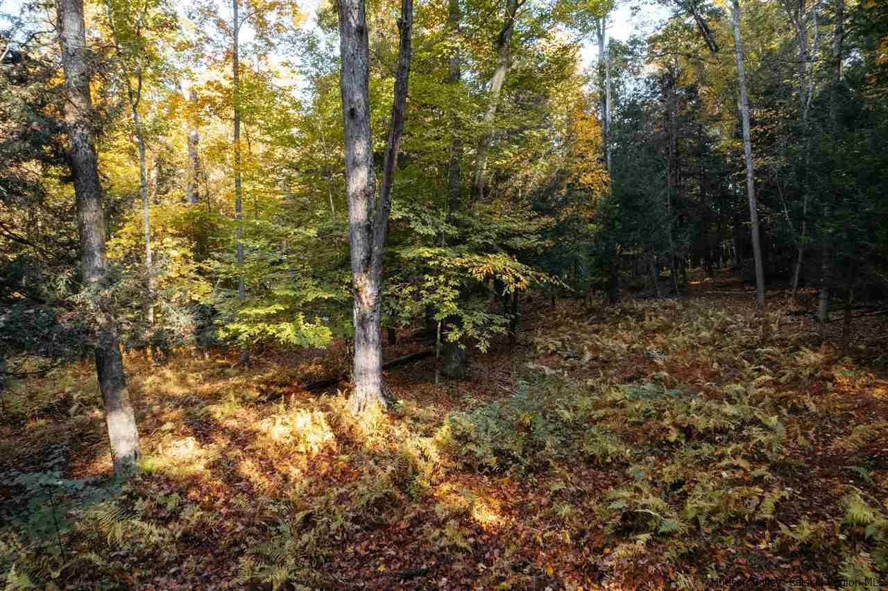 Tbd Atwood Road Stone Ridge, NY 12484 - Photo 28 of 30 Photo 28