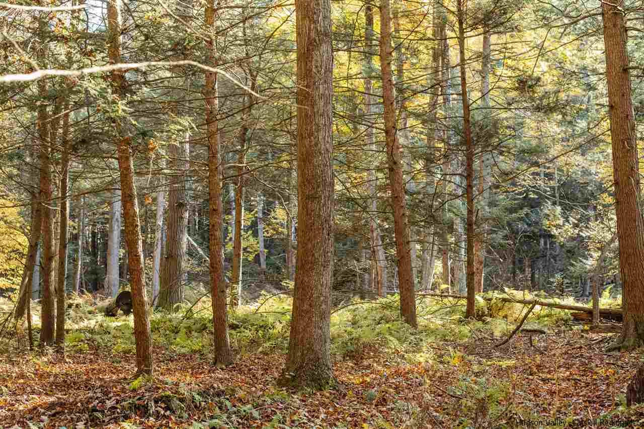 Tbd Atwood Road Stone Ridge, NY 12484 - Photo 29 of 30 Photo 29