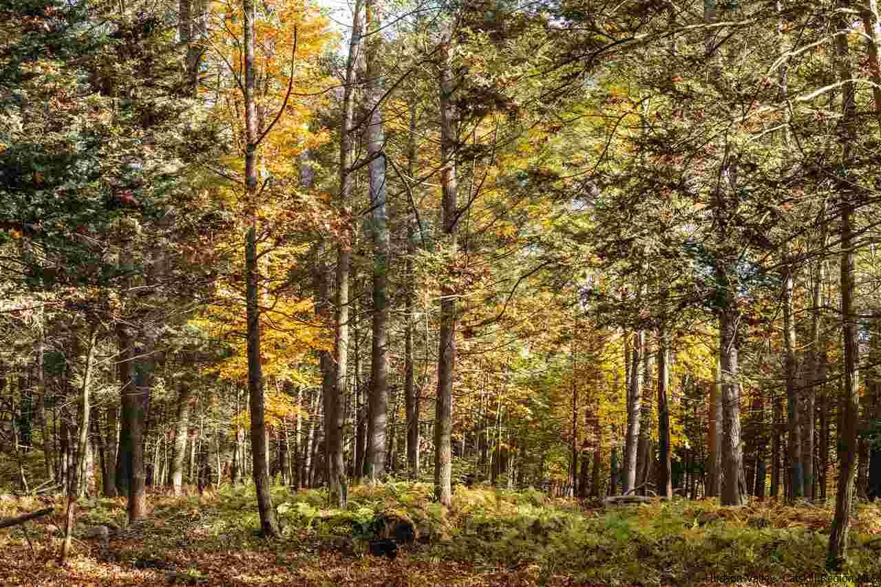 Tbd Atwood Road Stone Ridge, NY 12484 - Photo 30 of 30 Photo 30