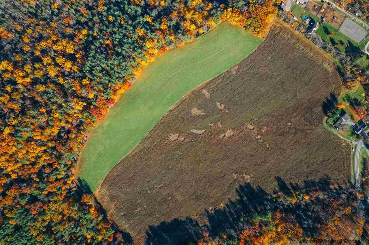 Tbd Atwood Road Stone Ridge, NY 12484 - Photo 4 of 30 Photo 4