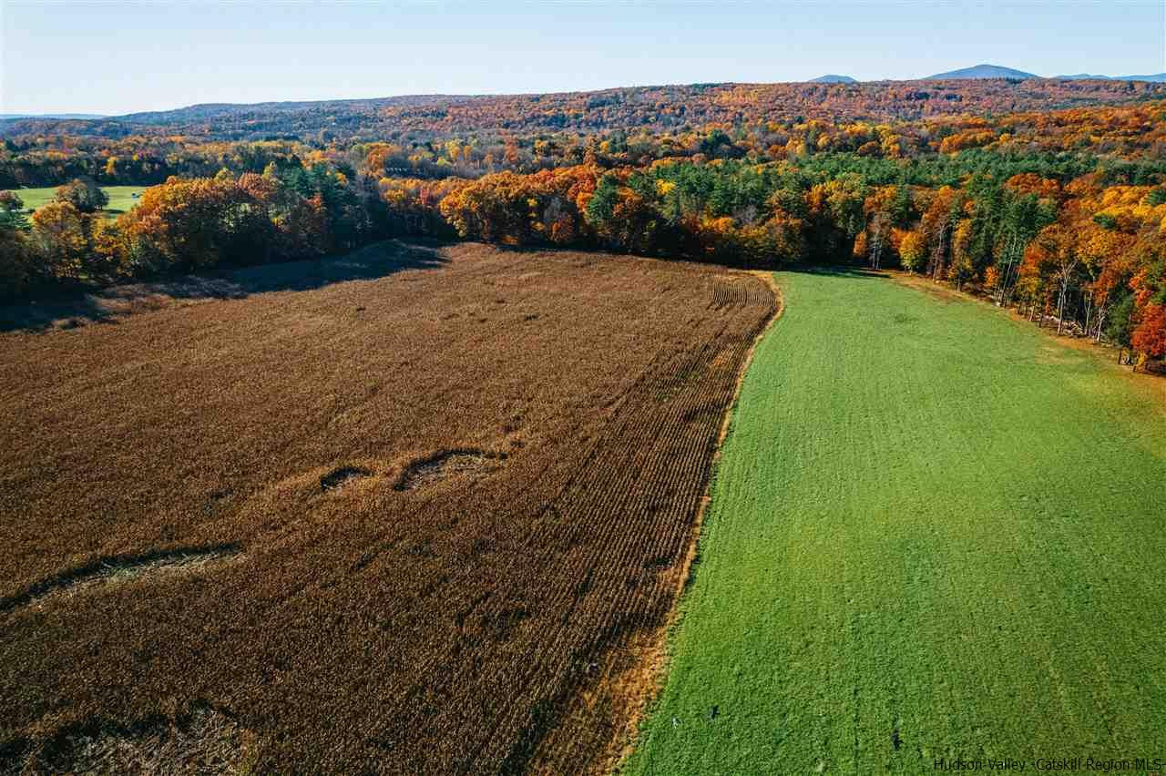 Tbd Atwood Road Stone Ridge, NY 12484 - Photo 6 of 30 Photo 6