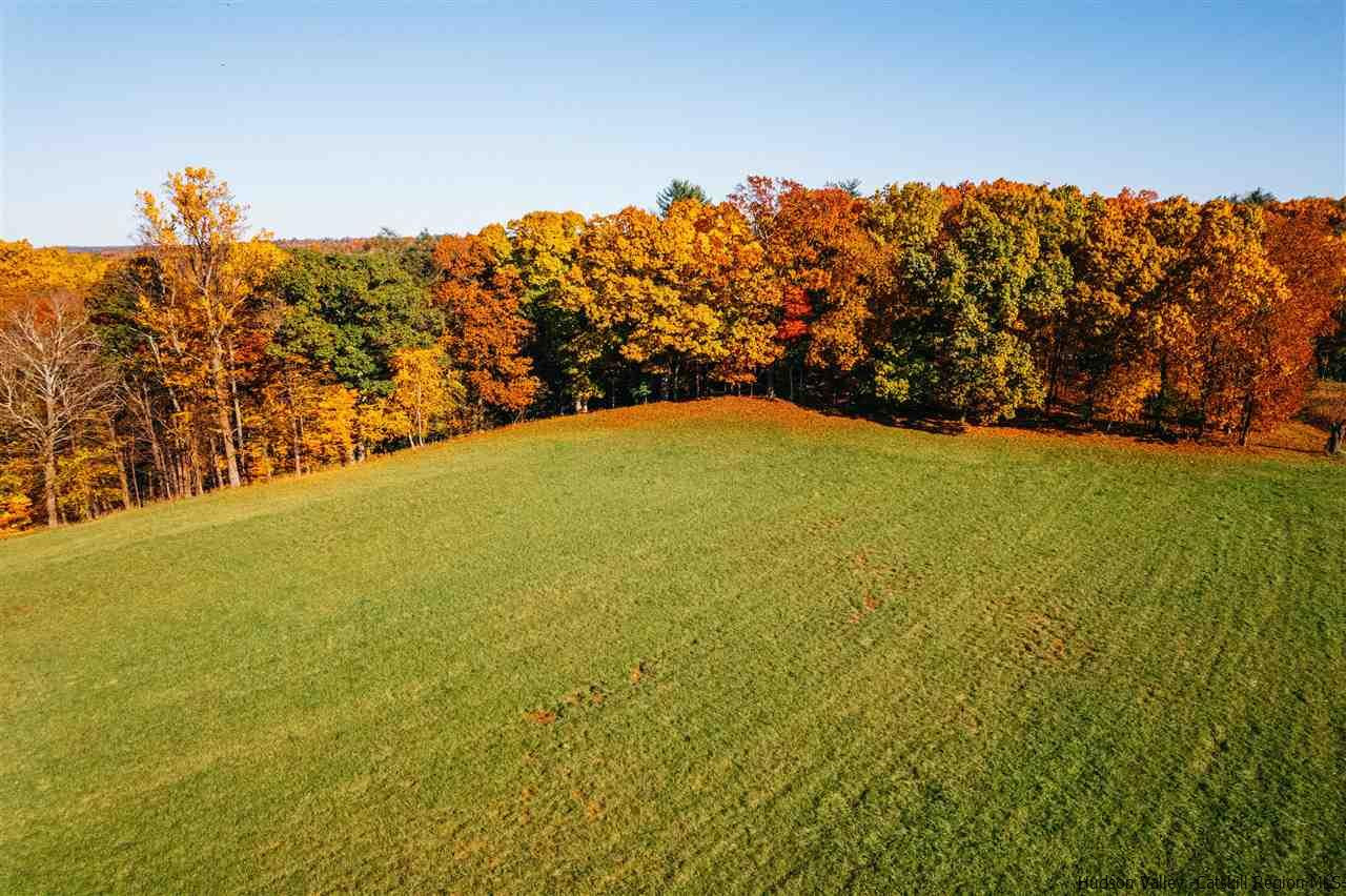 Tbd Atwood Road Stone Ridge, NY 12484 - Photo 10 of 30 Photo 10