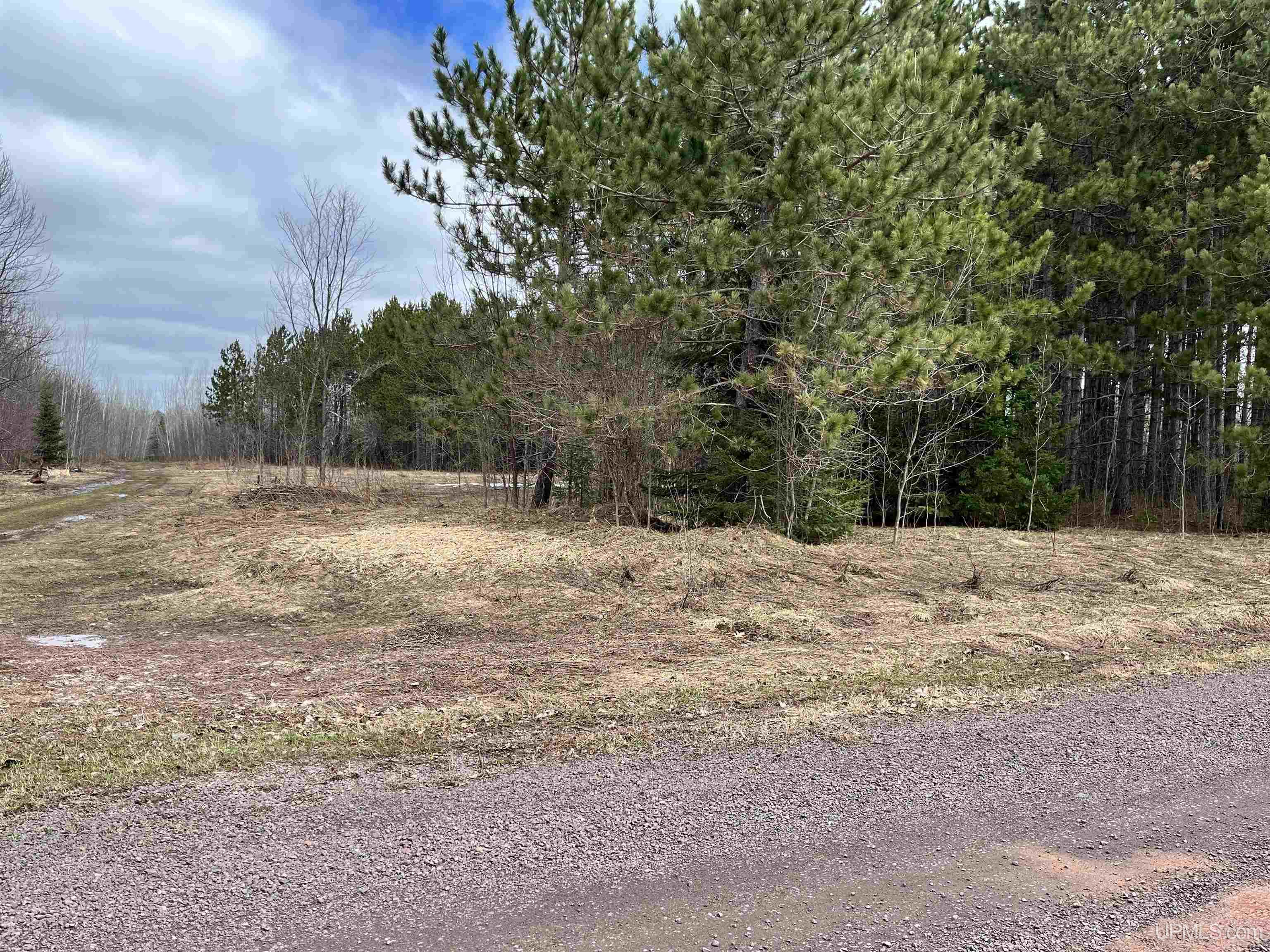 Tbd Tikka Road Ontonagon, MI 49953 - Photo 4 of 9
