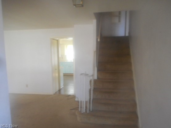 4748 Edenwood Road Cleveland, OH 44121 - Photo 2 of 24 Gallery Image 2
