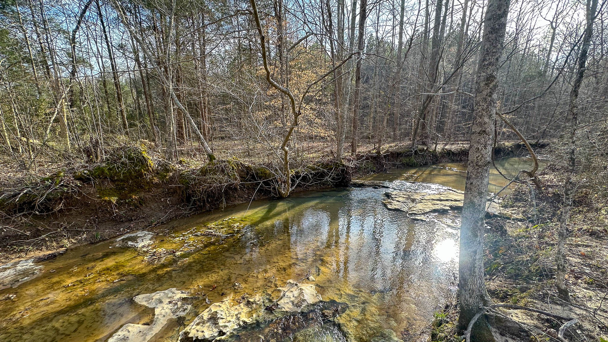 a view of swimming pool from a yard