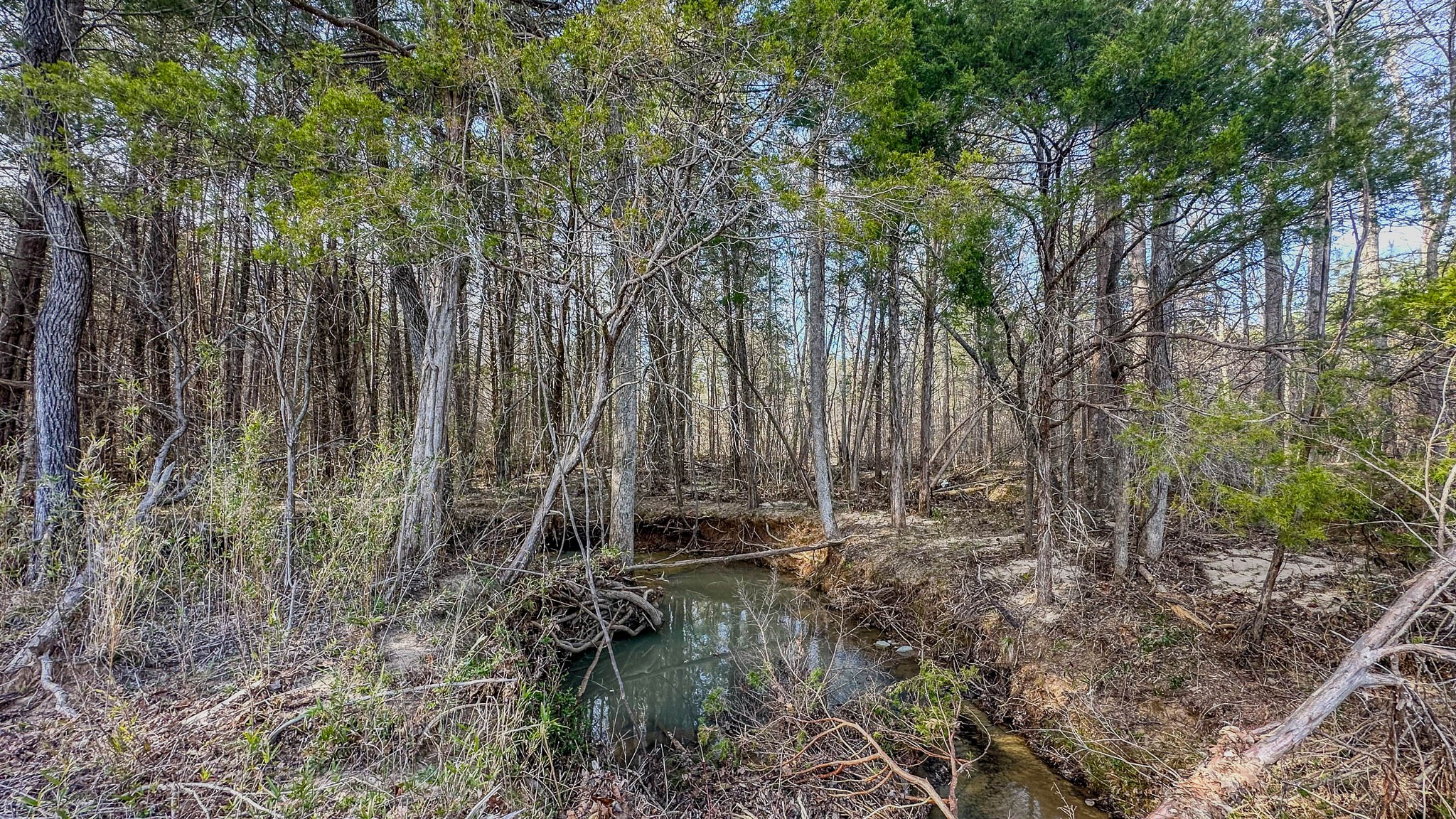 0 Jeanette Holladay Road Parsons, TN 38363 - Photo 14 of 49 a backyard of a house with lots of plants and large trees